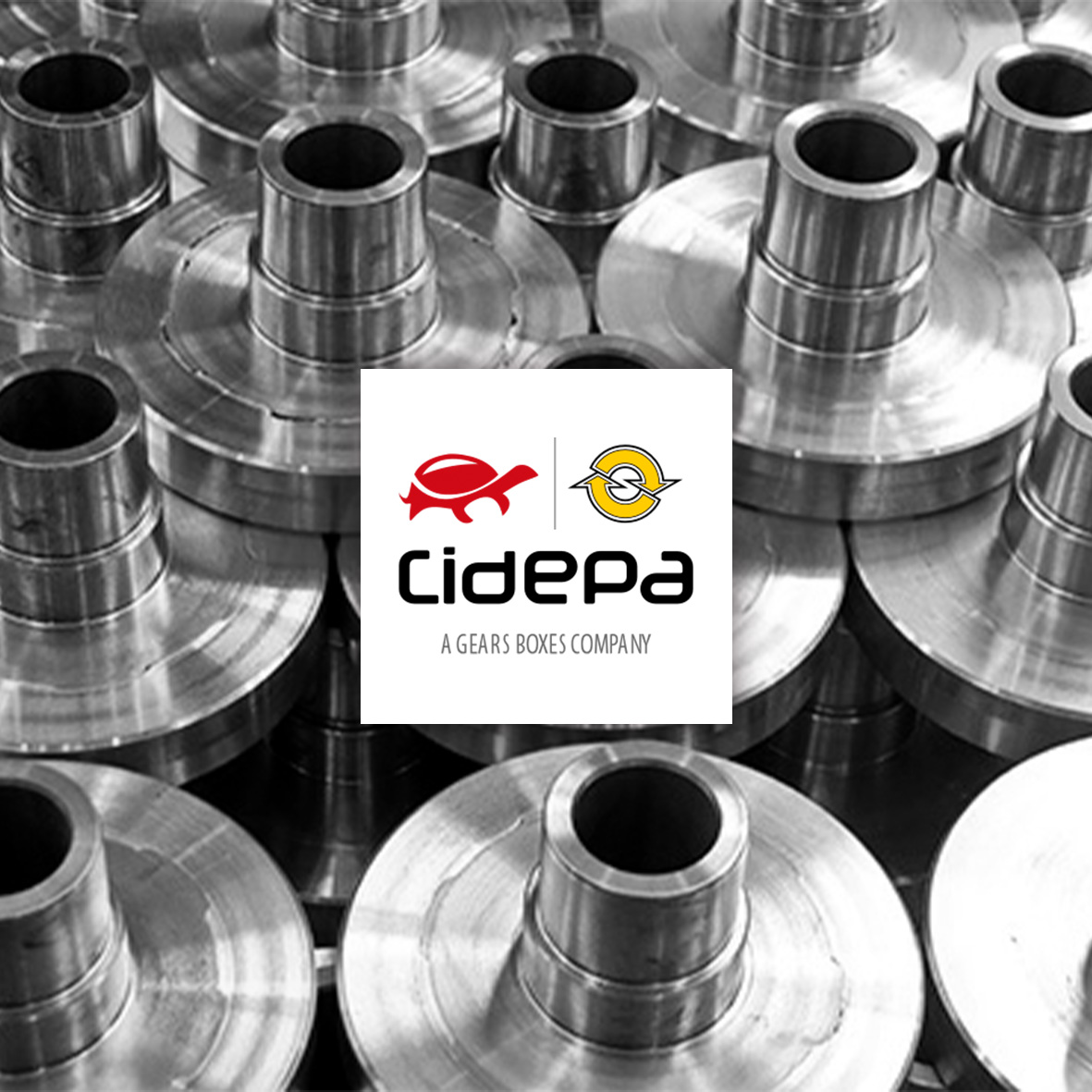 Cidepa-ISB-IBERICA-0.jpg